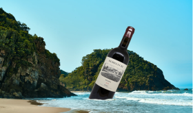 Bottle of Remelluri Rioja washing up on a desert island