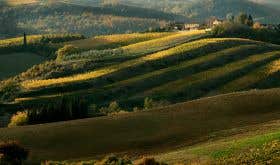 Shadows falling across Chianti Classico's vineyards