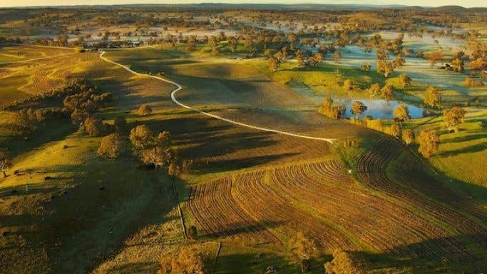 Yalumba and Pewsey Vale vineyards Eden Valley seen from the air
