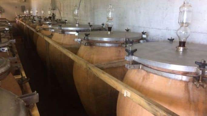 Amphorae at Montesecondo winery