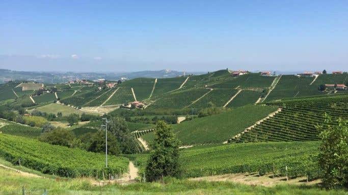 View from Tre Stelle towards Barbaresco with the crus of Martinenga and Rabajà in the distance.