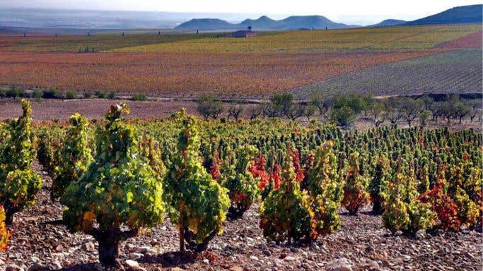 the La Montesa vineyard in Rioja