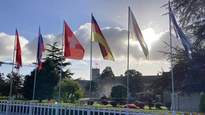 flags out at Château Ducru-Beaucaillou