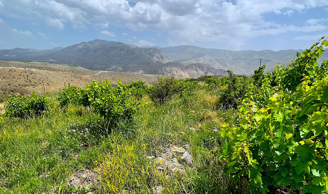 Armenia the lay of the land