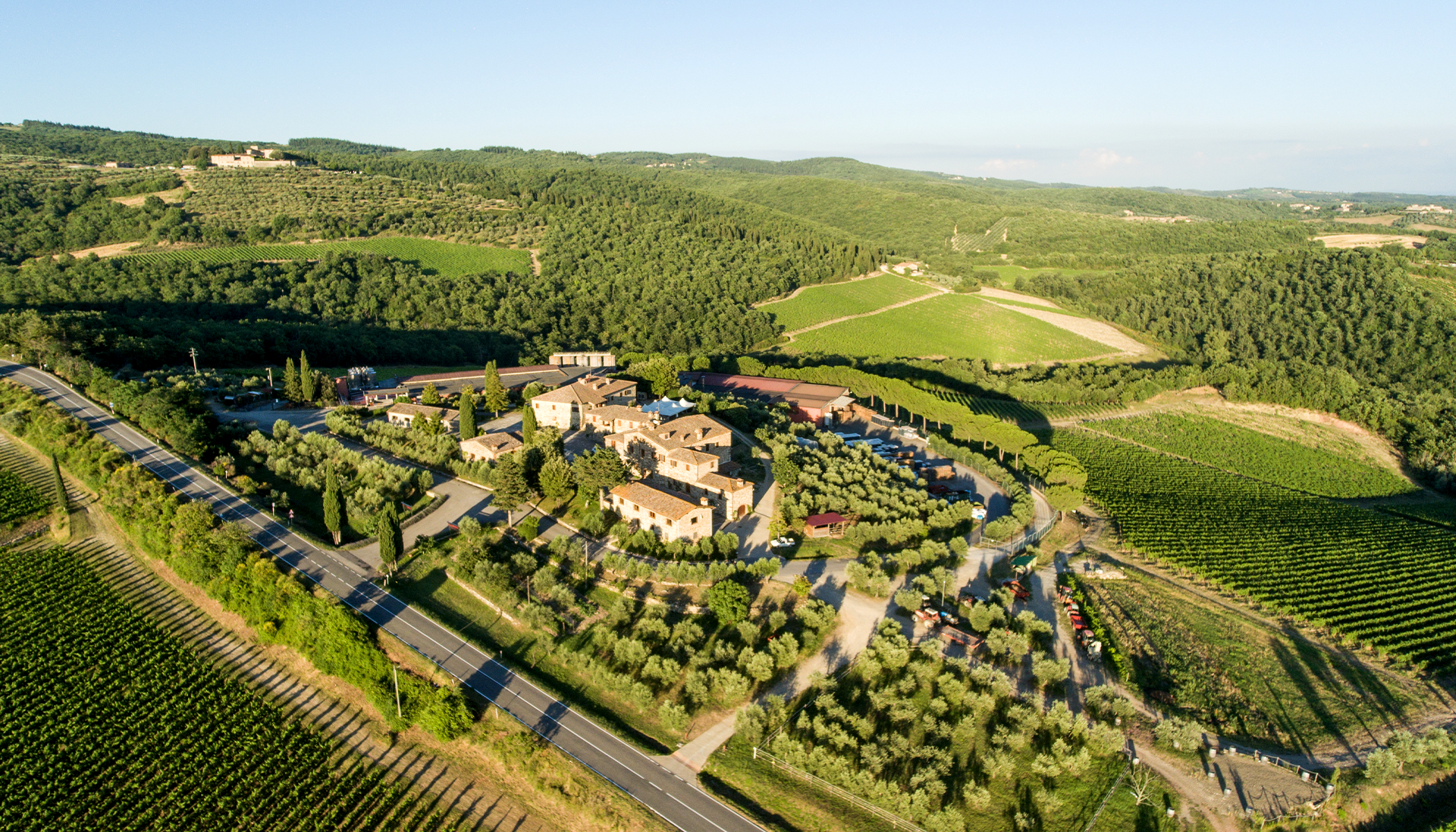 Rocca delle Macìe, Famiglia Zingarelli 2021 Chianti Classico