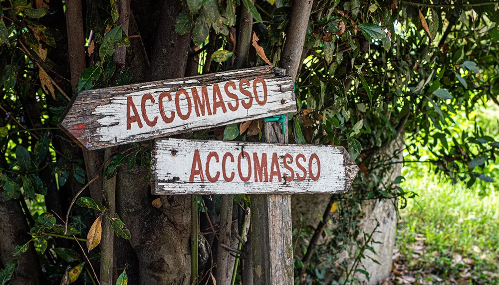 バローロの重鎮ロレンツォ・アッコマッソ氏が死去 | ジャンシス