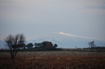 ventoux