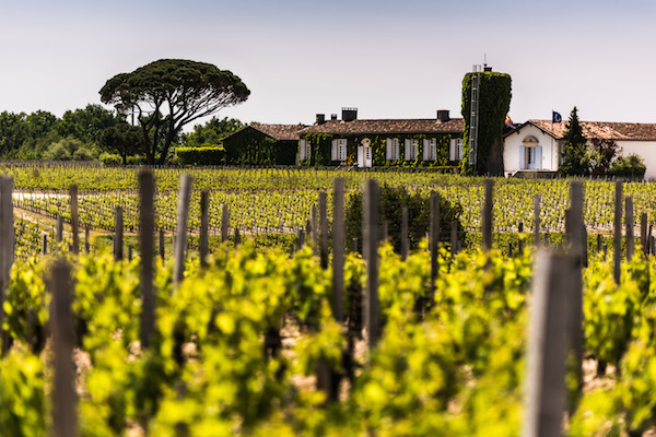Ch Meyney 2012 St-Estèphe | Jancis Robinson