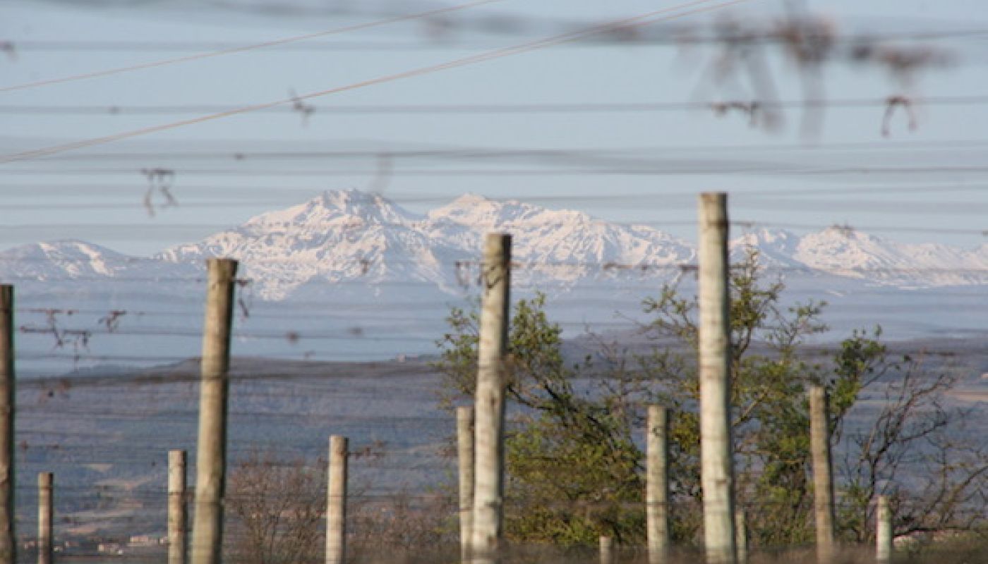 Pyrenees from a vineyard at Dom Begude in Limoux