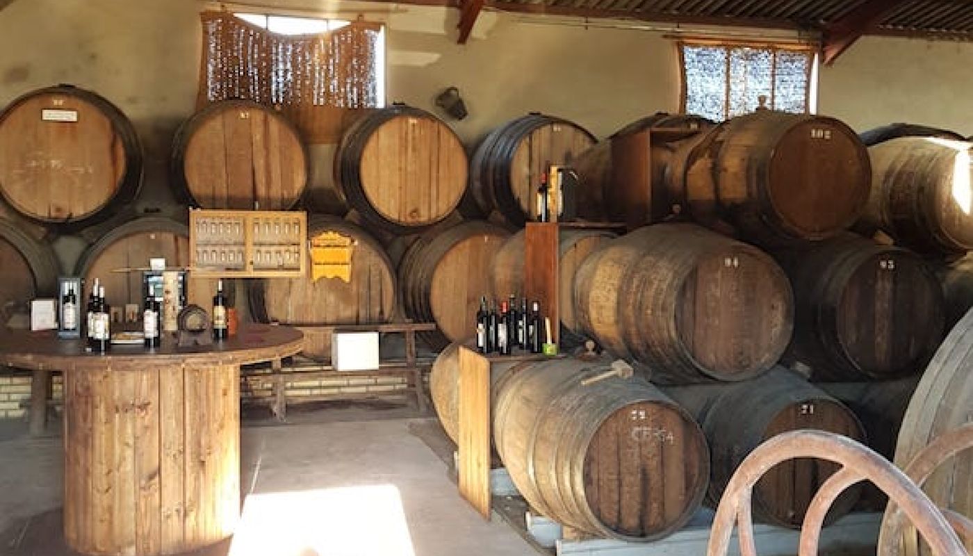Brotons Fondillon warehouse in Alicante