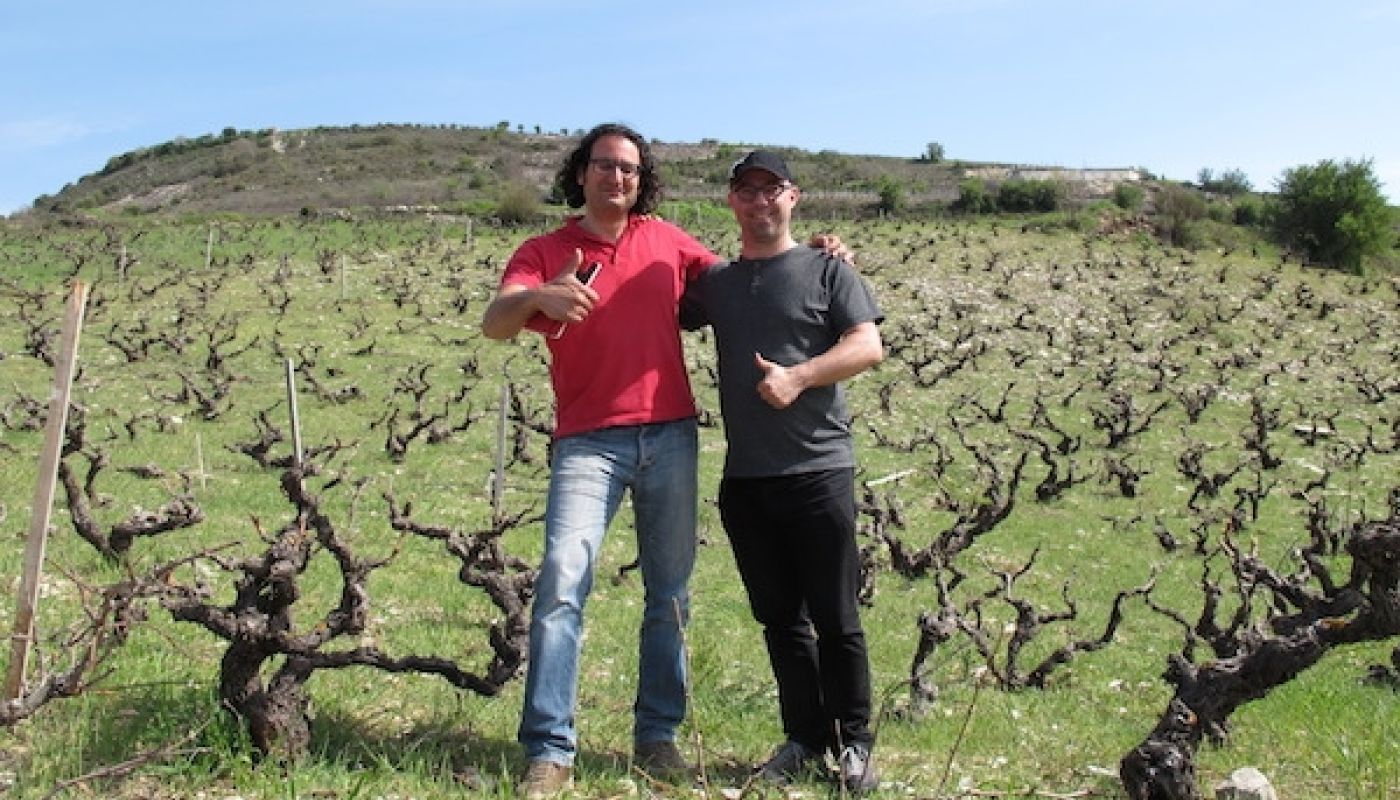Zambartas and Vouillamoz