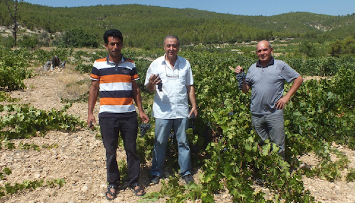 Ali Ay middle owner of Tasheli winery seen with local growers of old Patkara vines