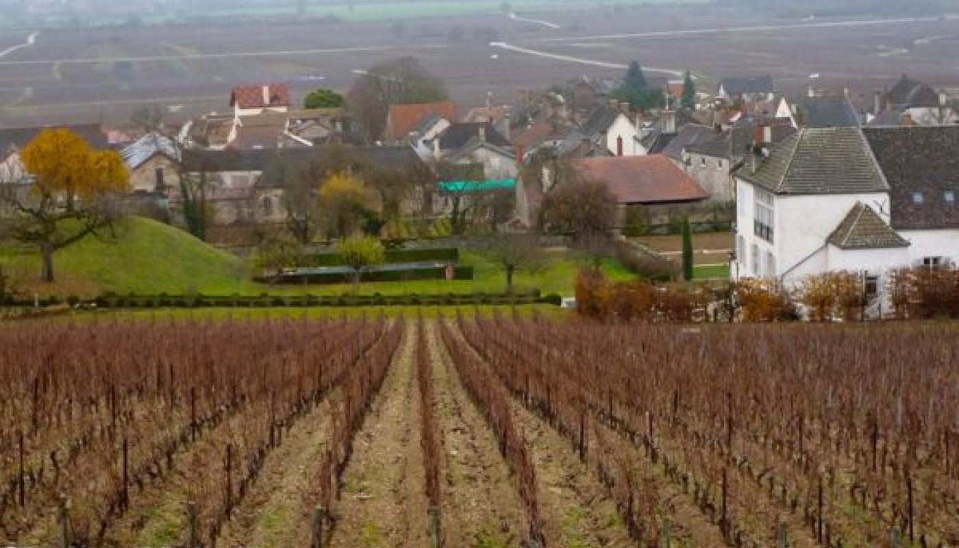 Angerville's Clos des Ducs