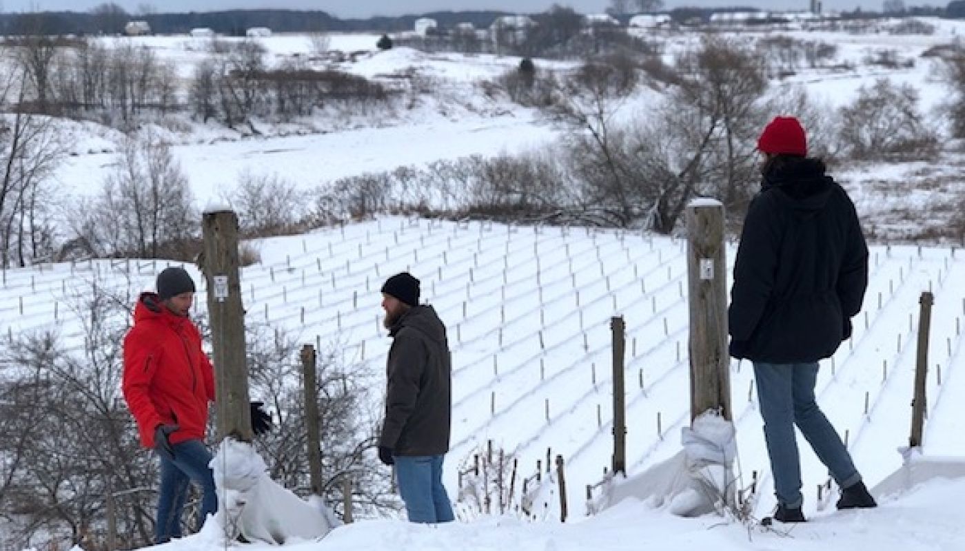 Winter at Domaine du Nival, Quebec, overlooking Albarino vines