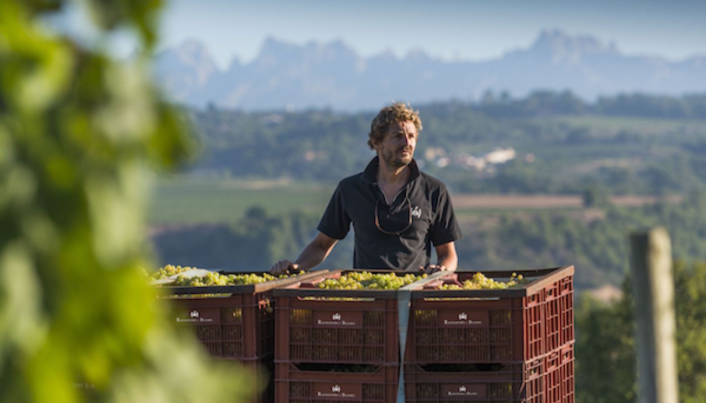 Pepe Raventos and grapes