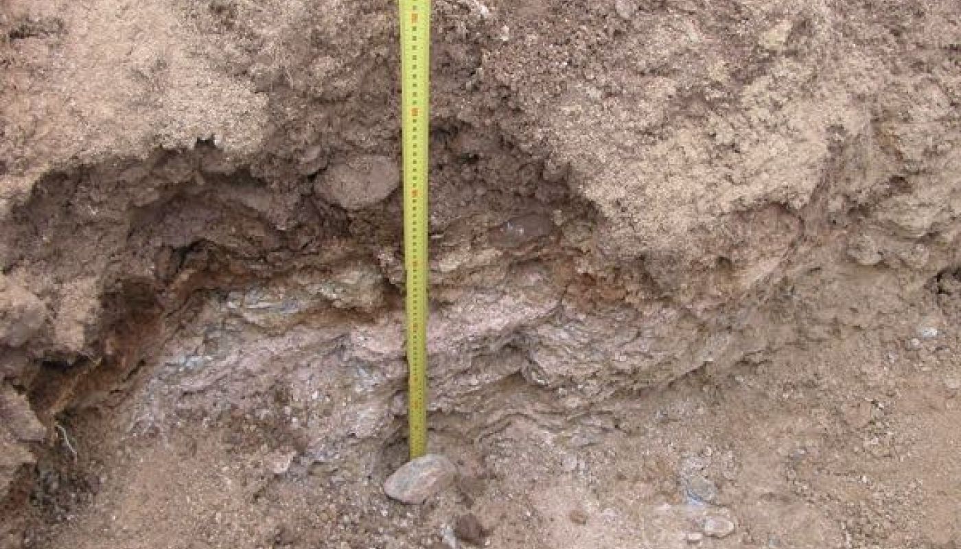 Soil pit at Prophet's Rock, Central Otago
