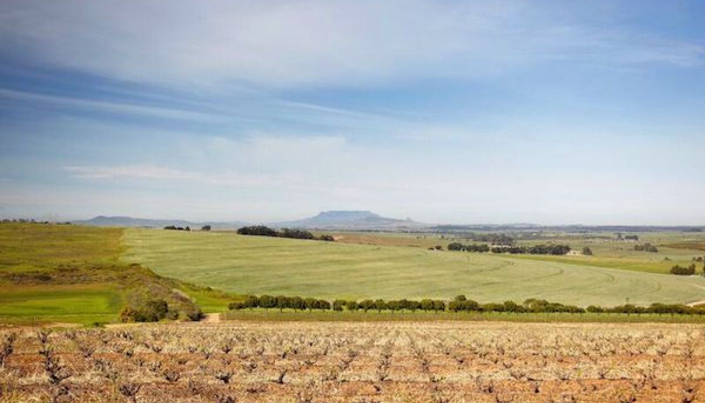 Swartland and Table Mountain