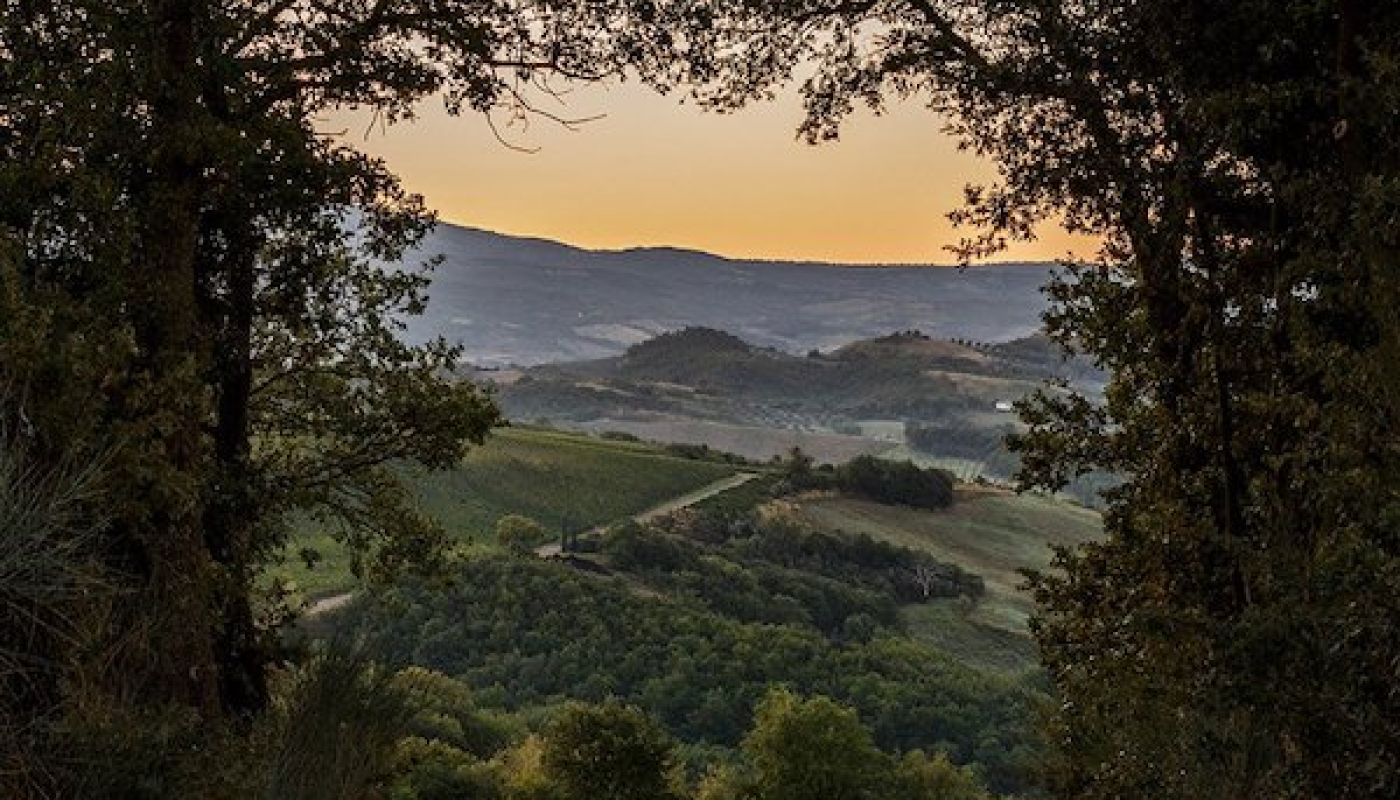 ColleMassari estate in Montecucco, southern Tuscany