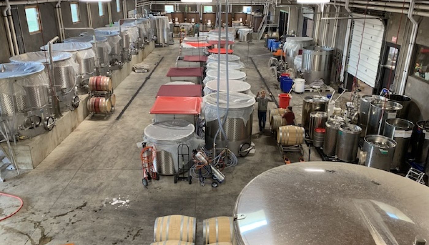Red wine fermentations in a Willamette Valley winery, Oregon 2019
