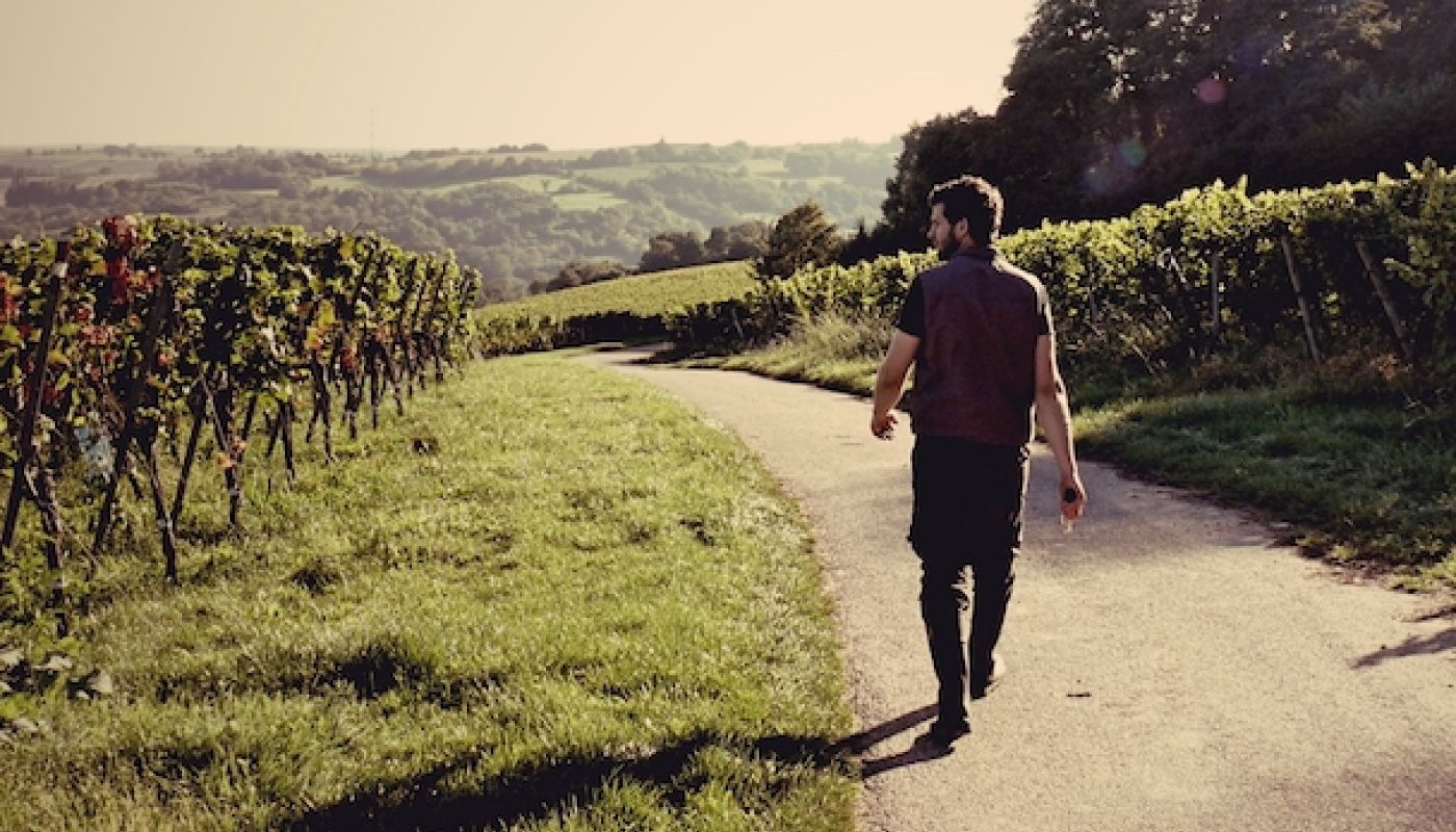 Johannes Jülg strides out into his vineyards on the Franco-German border