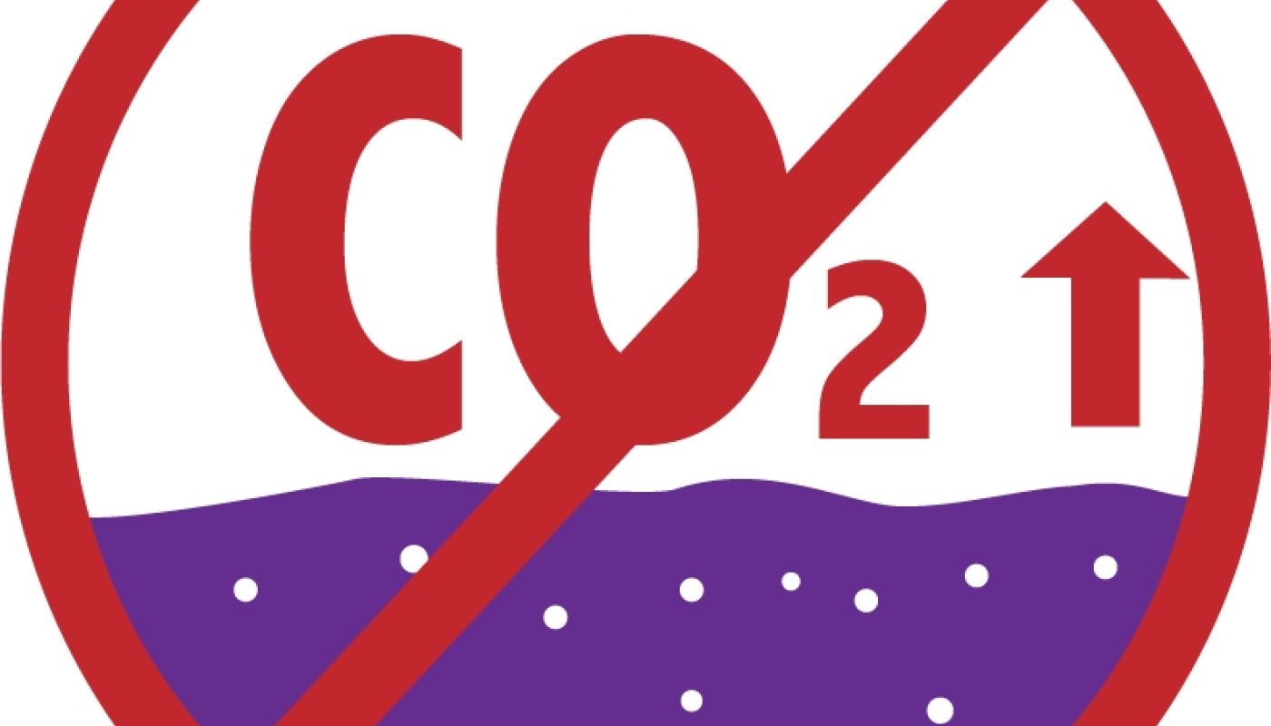 Smart carbon logo