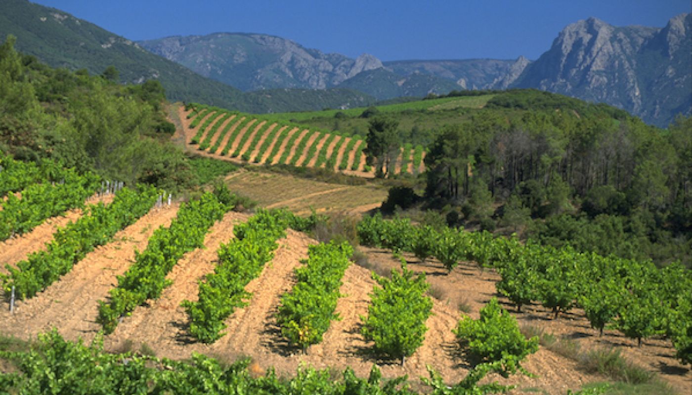Corbières landscape by Céline et Gilles Deschamps/CIVL