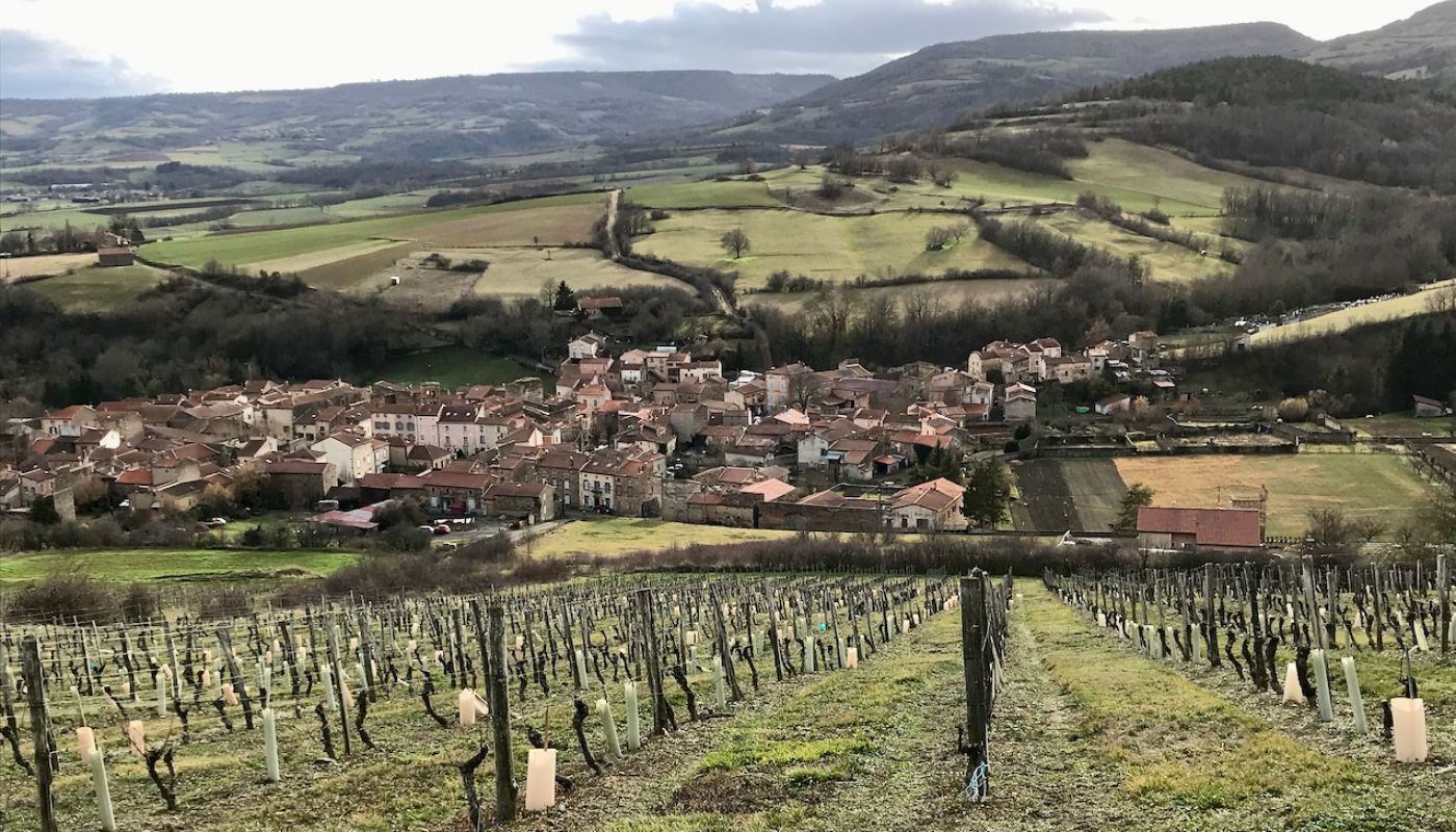 Vines sloping down to the village of Boudes