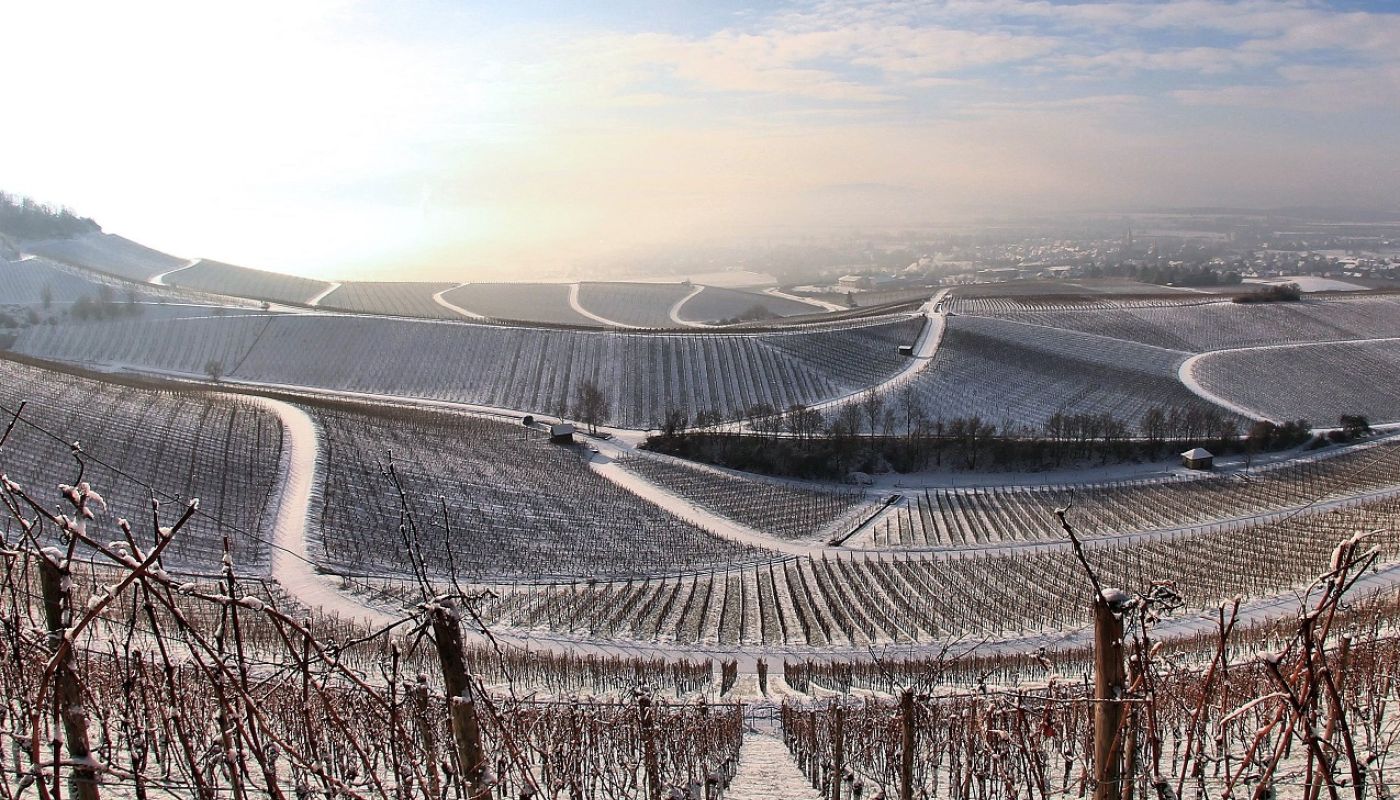 Wirsching Franken vineyards in winter