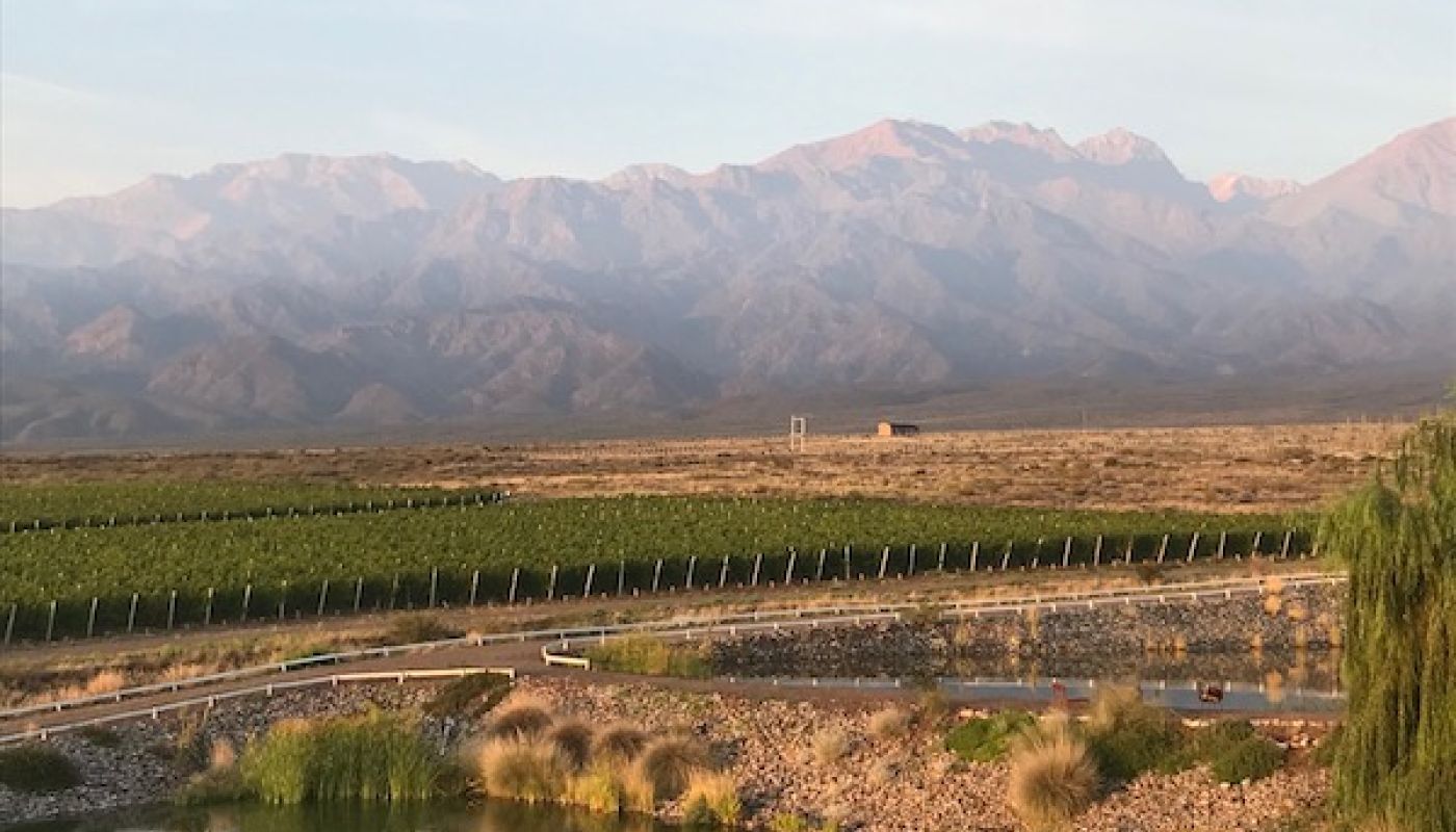 Dawn in the Uco Valley with sun on the Andes