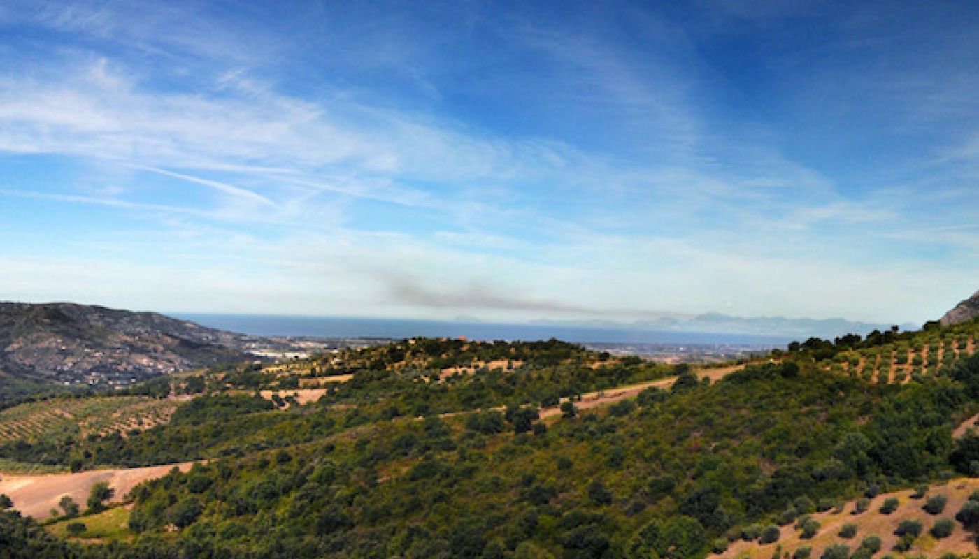 Luigi Maffini's vineyards overlooking the Bay of Salerno