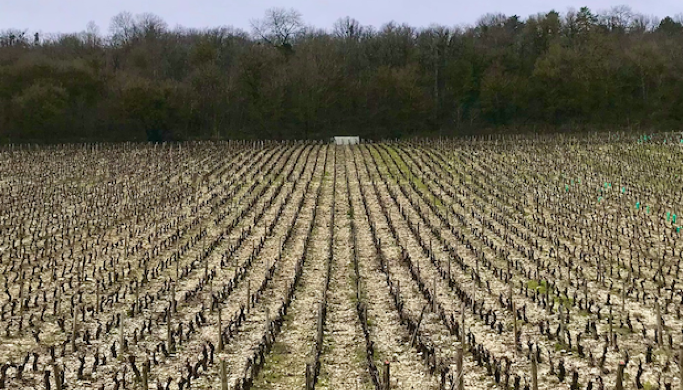 The Hautes Cotes of Burgundy in winter