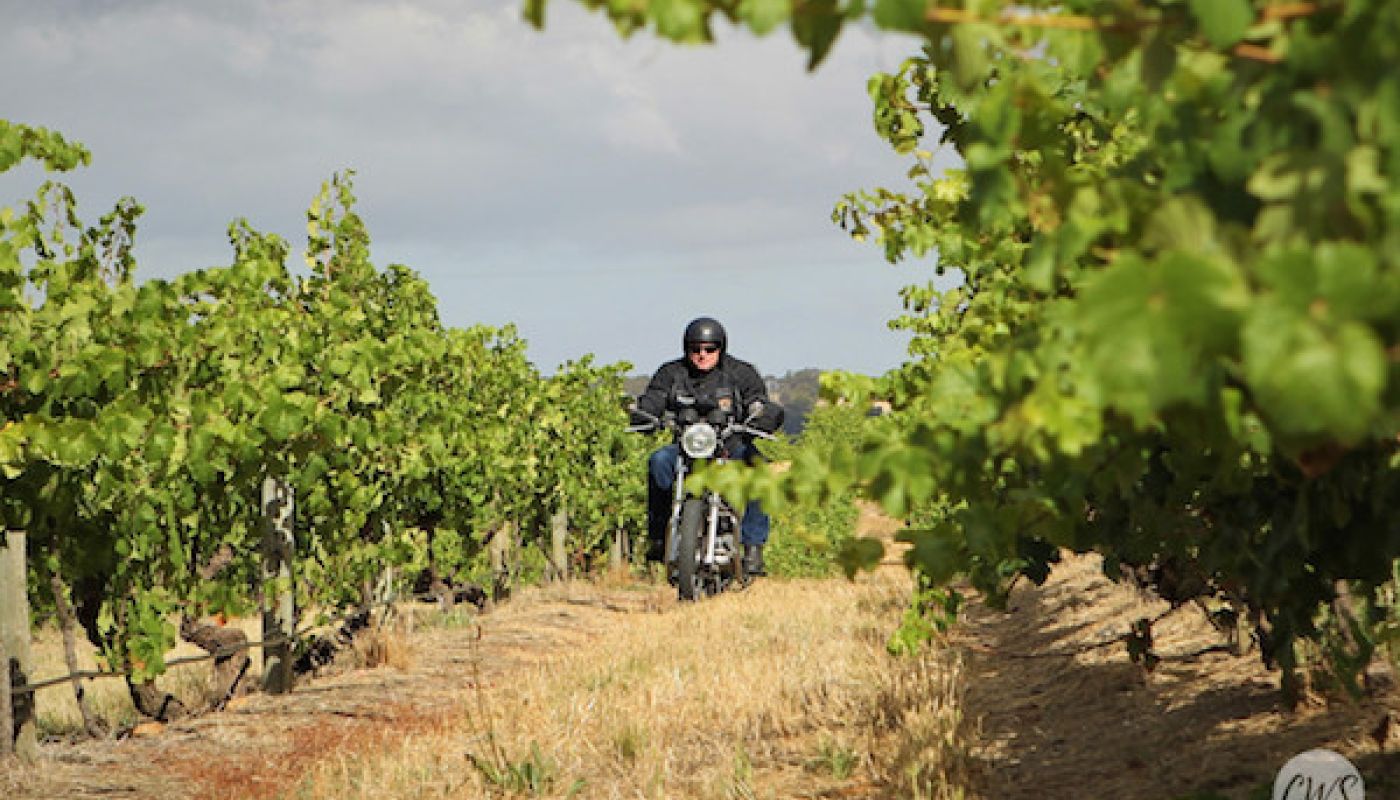 Tim Smith on his Trumph bike in a South Australian vineyard