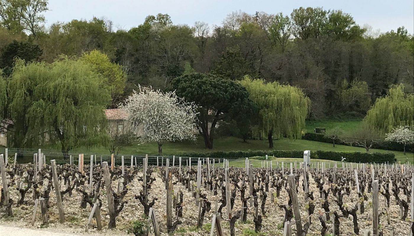 View from GPL tasting room 2019