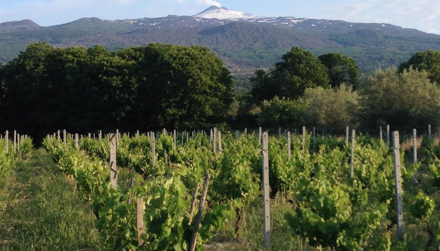 Ayunta vineyards with Etna