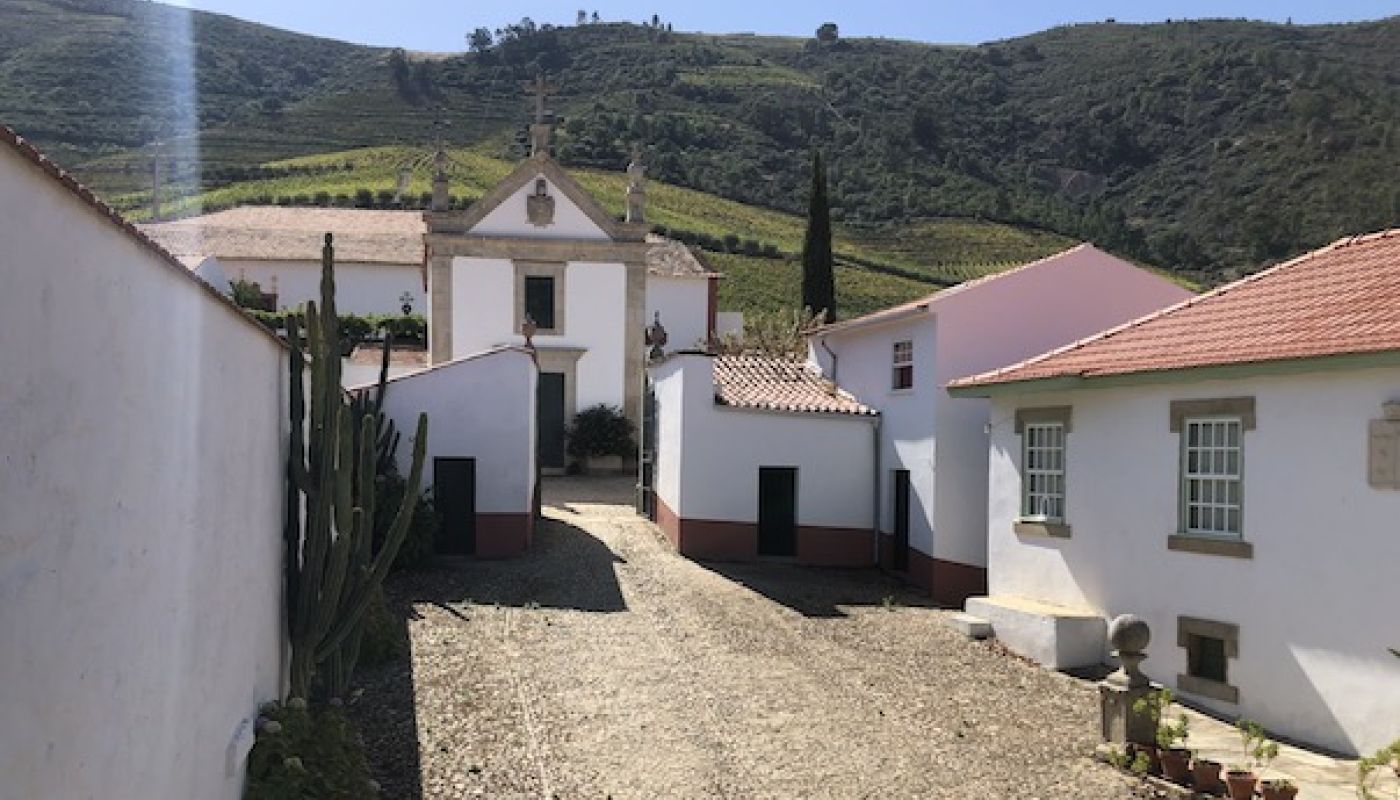 Village and vineyard in the Douro valley, Portugal
