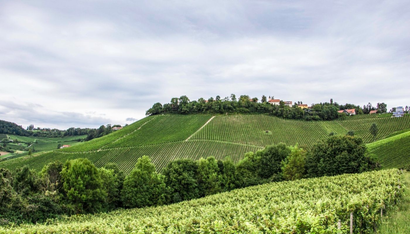 Tement's Zieregg vineyard