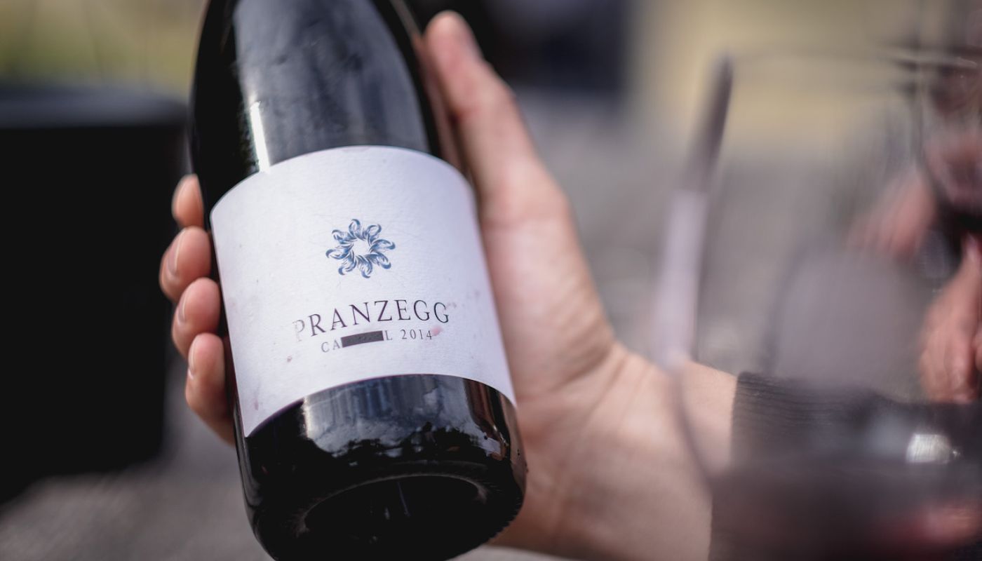 Outlawed Pranzegg wine grown on pergola in northern Italy