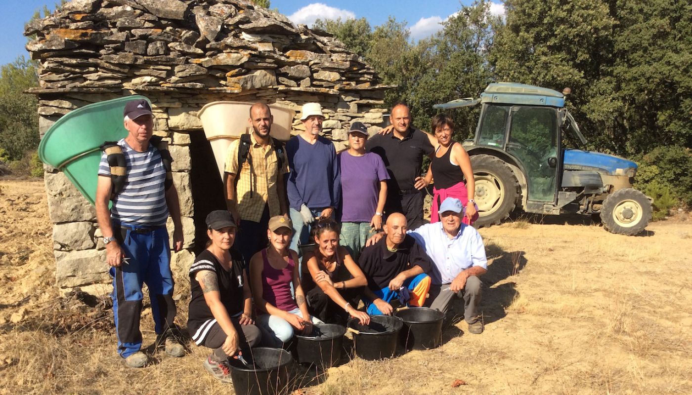 Grape pickers at Domaine Sibille, Laure-Minervois, Languedoc
