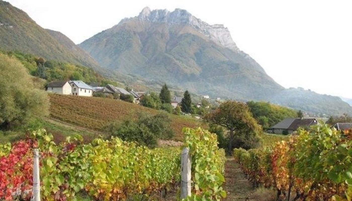 Mont Granier overlooking vineyards in Savoie