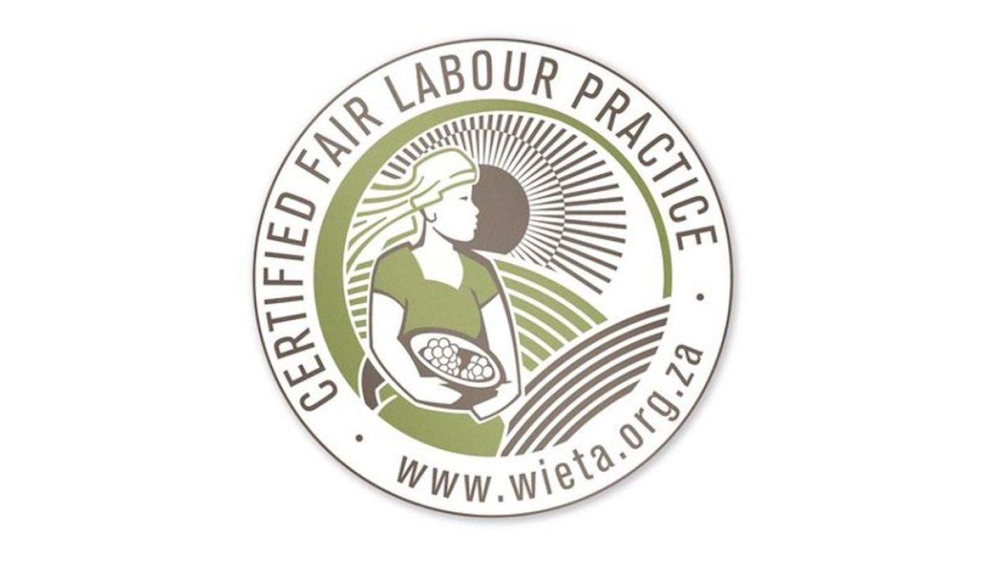Wieta seal wide