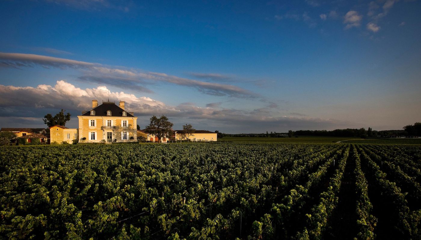 Ch Haut Bailly in Léognan, Bordeaux