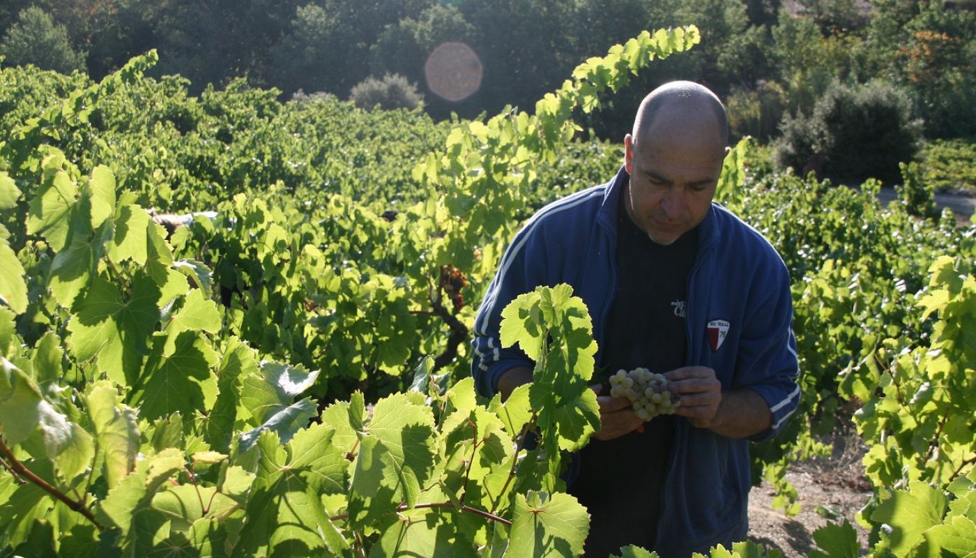 Les Clos Perdus - Paul Old in one of his vineyards