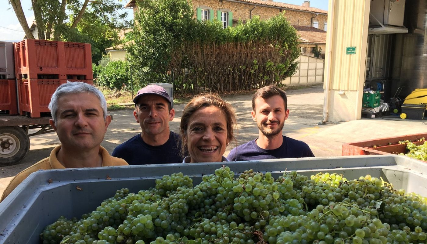 Antech - Francoise and her team at harvest