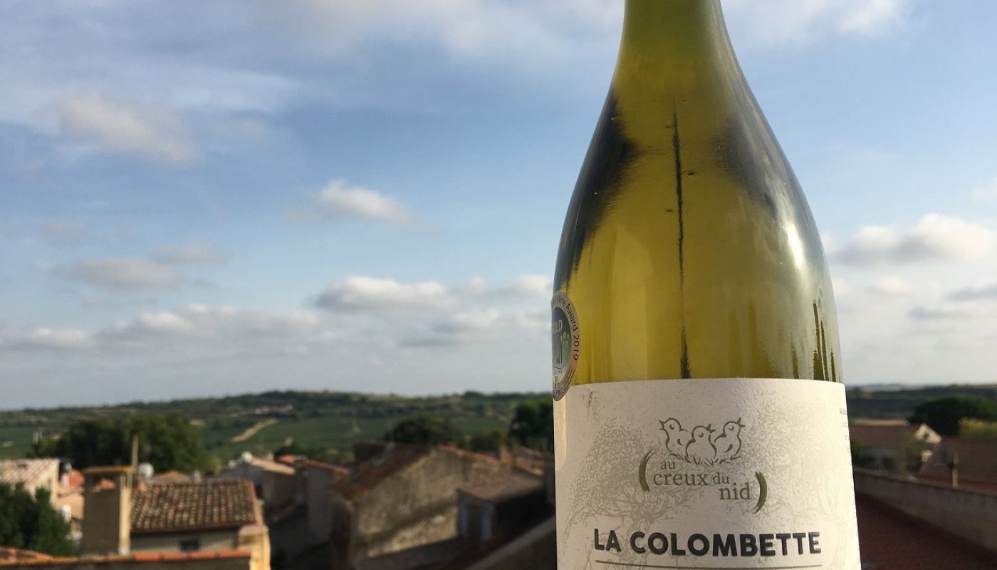 Au Creux du Nid blanc from Dom de la Colombette