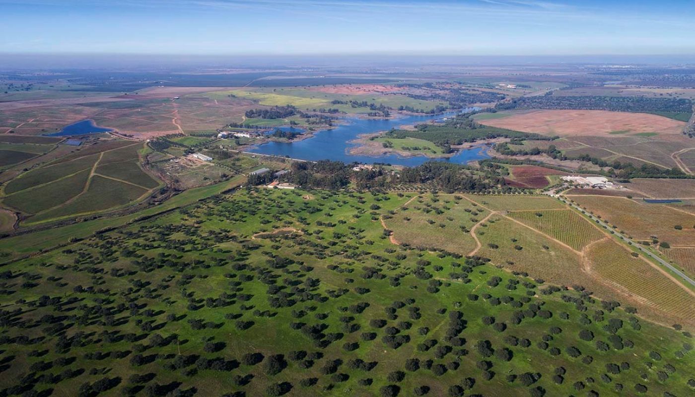 Herdade dos Grous - aerial view