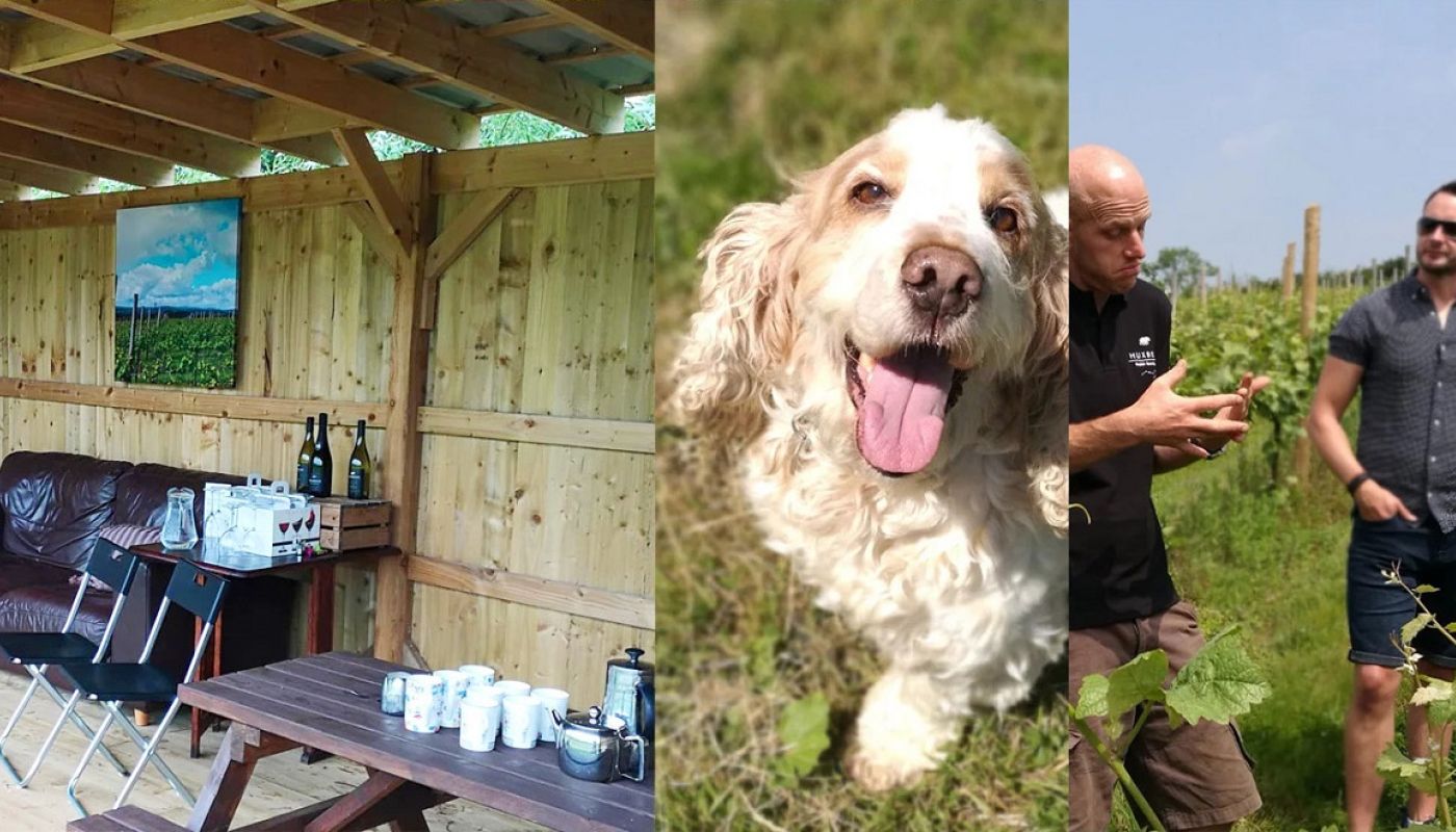 Huxbear Vineyard