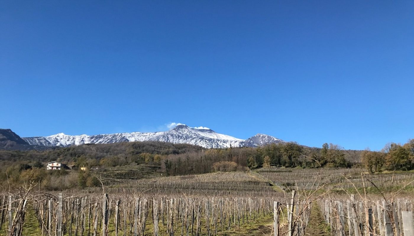I Vigneri - Mt Etna