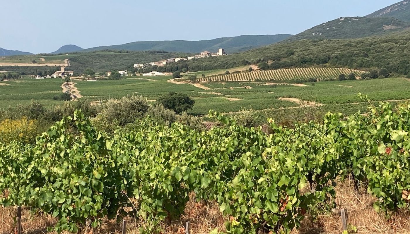 Faugeres landscape