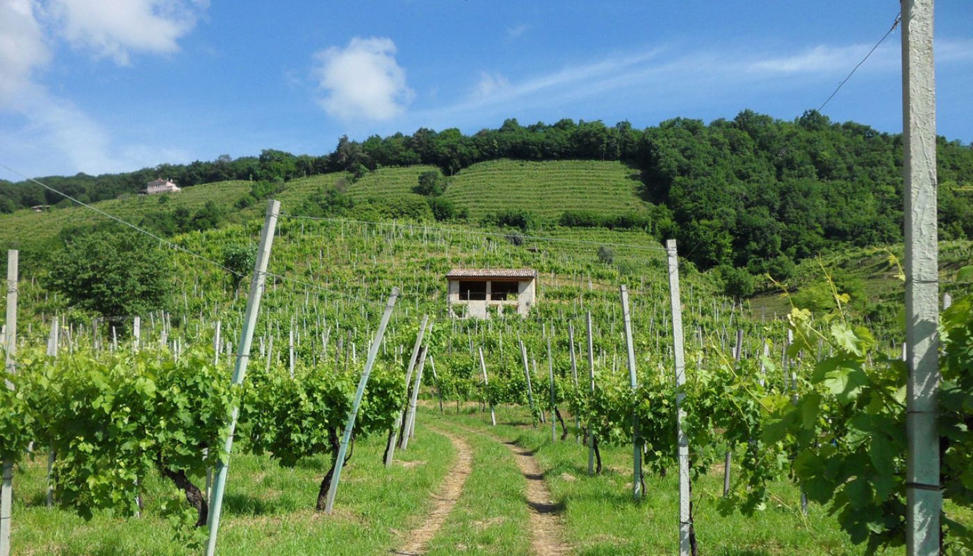 Perlage - Rive Moretta vineyards