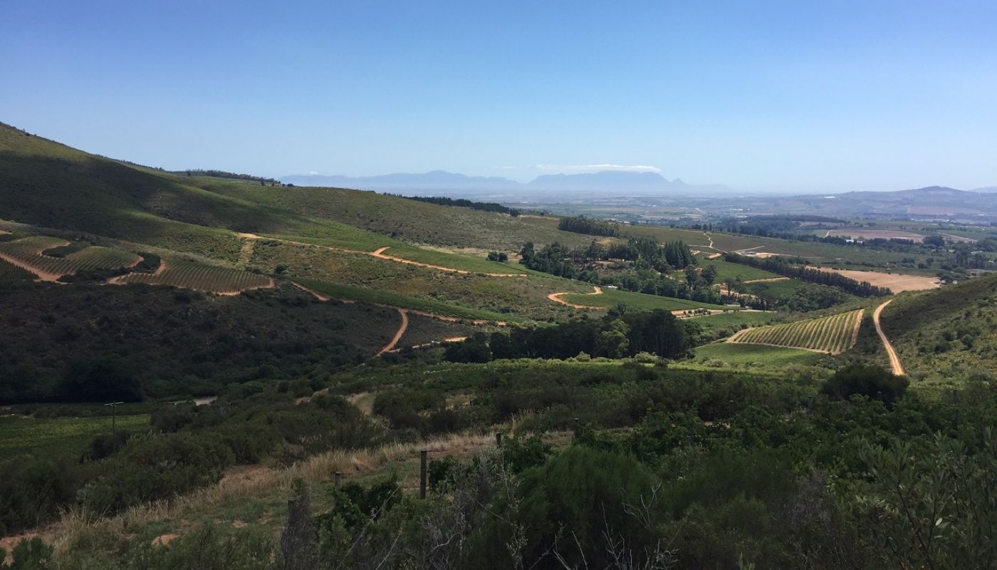 Reyneke wine estate in Stellenbosch